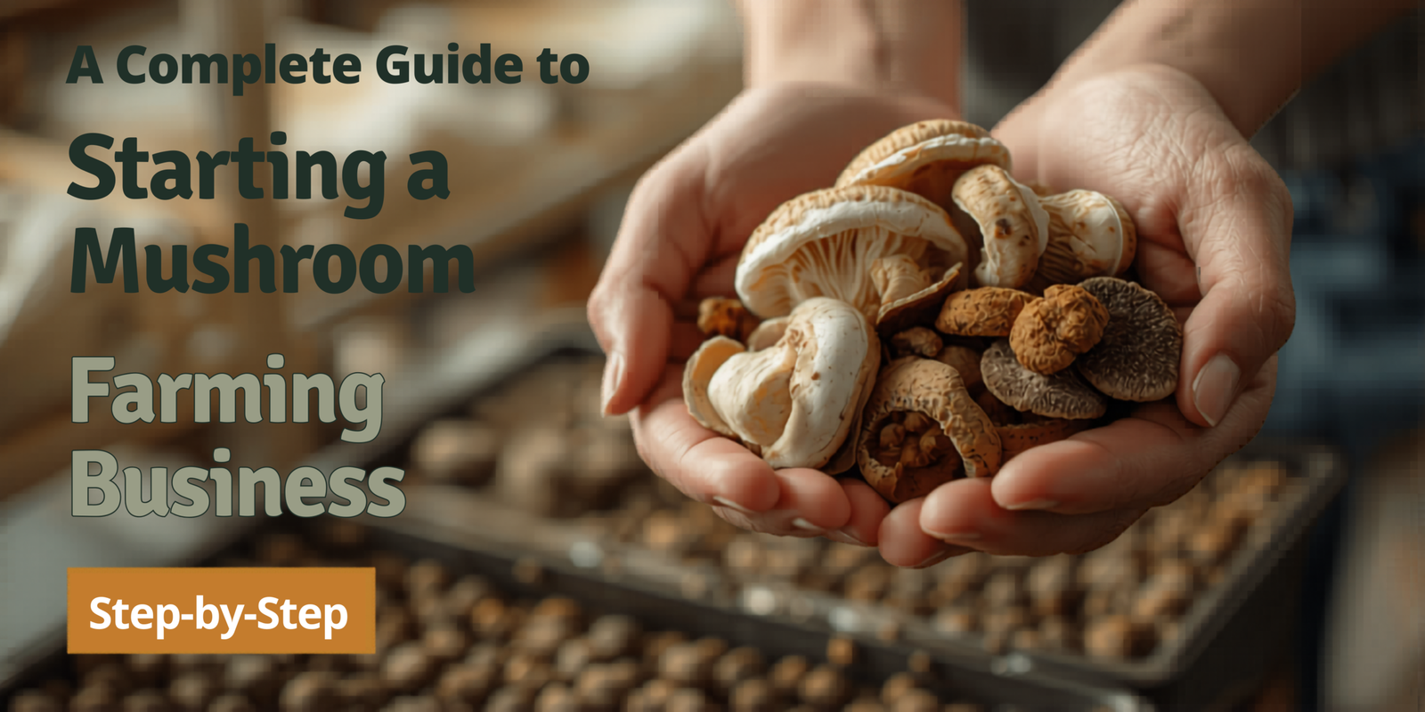 Complete Guide to Starting a Mushroom Farming Business (Step-by-Step)