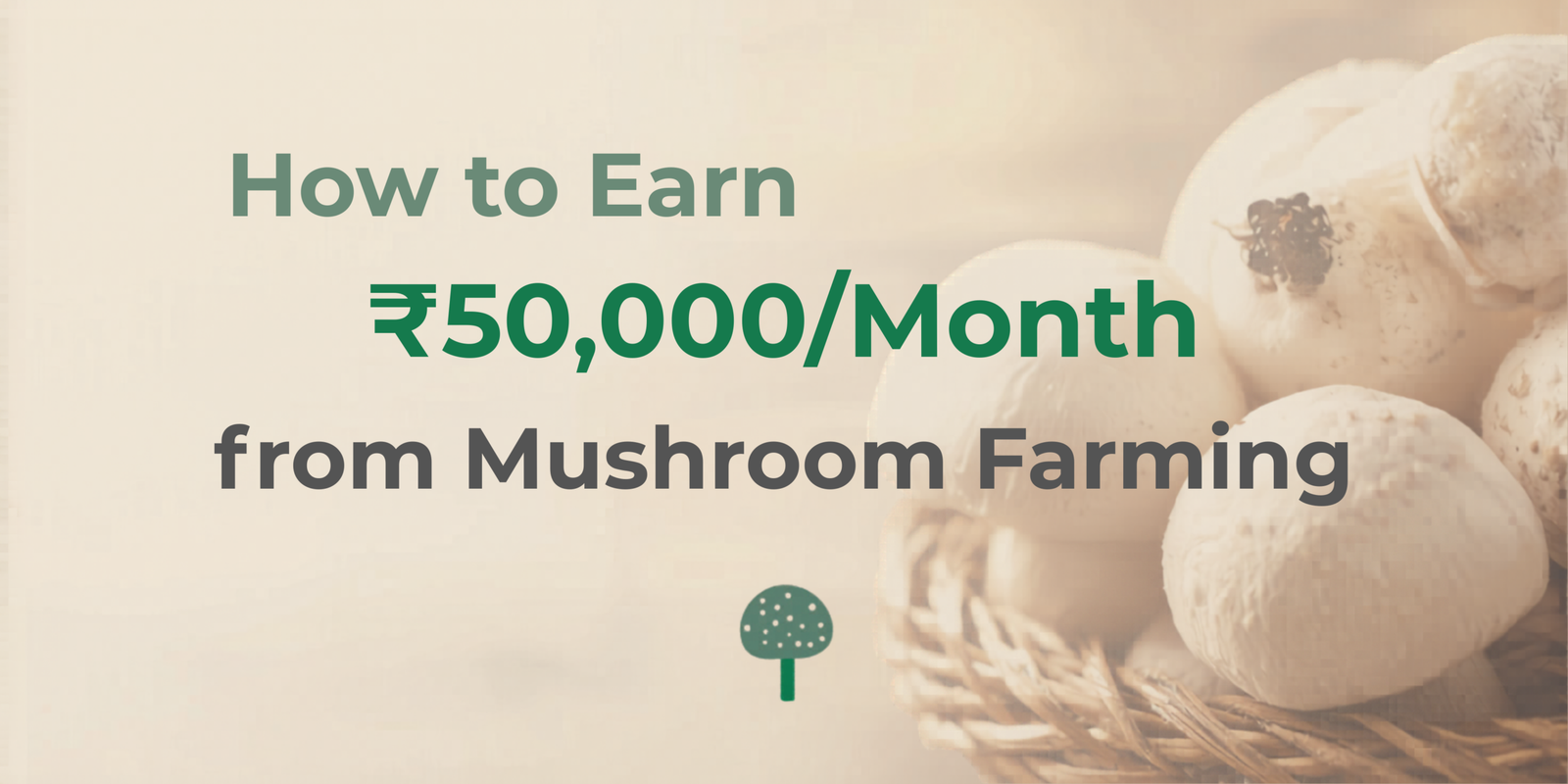How to Earn ₹50,000/Month from Mushroom Farming (Step-by-Step Guide)